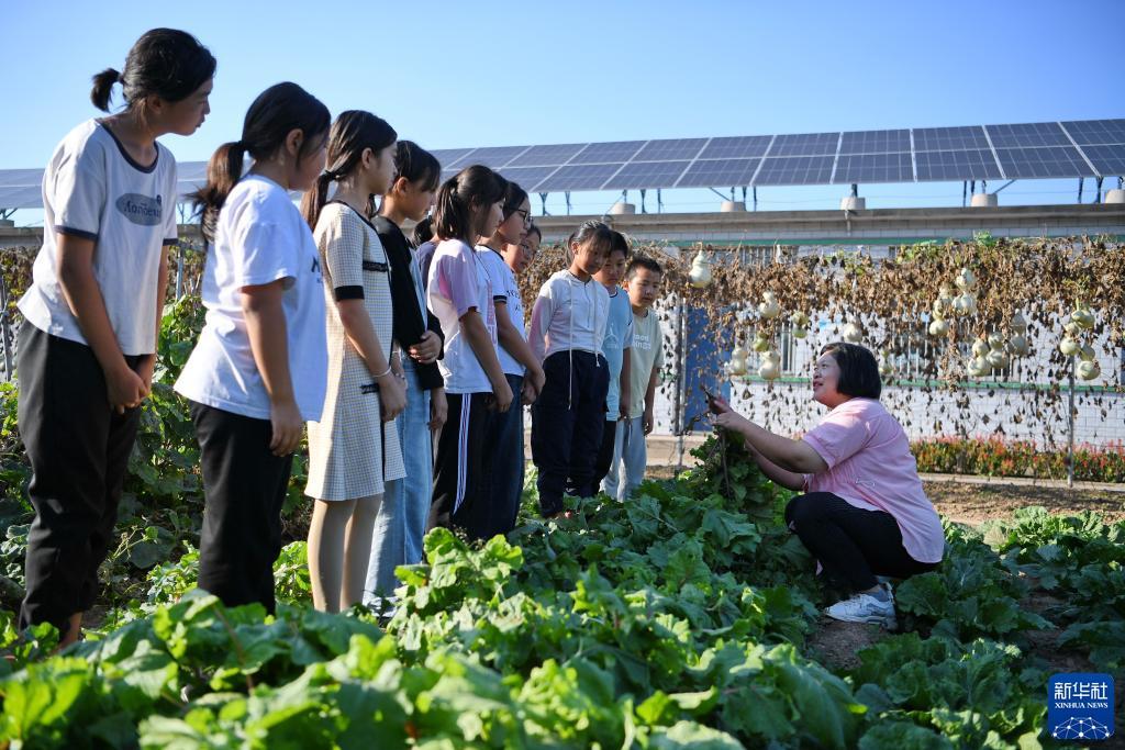 其乐游戏平台官网